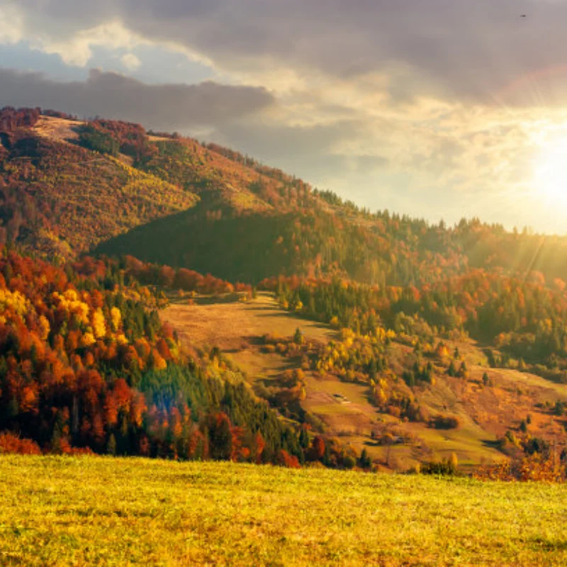 

Шины для радиоуправляемых краулеров 2.2 и металлические диски с бедлоком, 4 шт., для радиоуправляемых краулеров масштаба 1/10, 1/8, таких как SCX10 I II III Pro, TRX4, TRX6 Gen7/8, D90