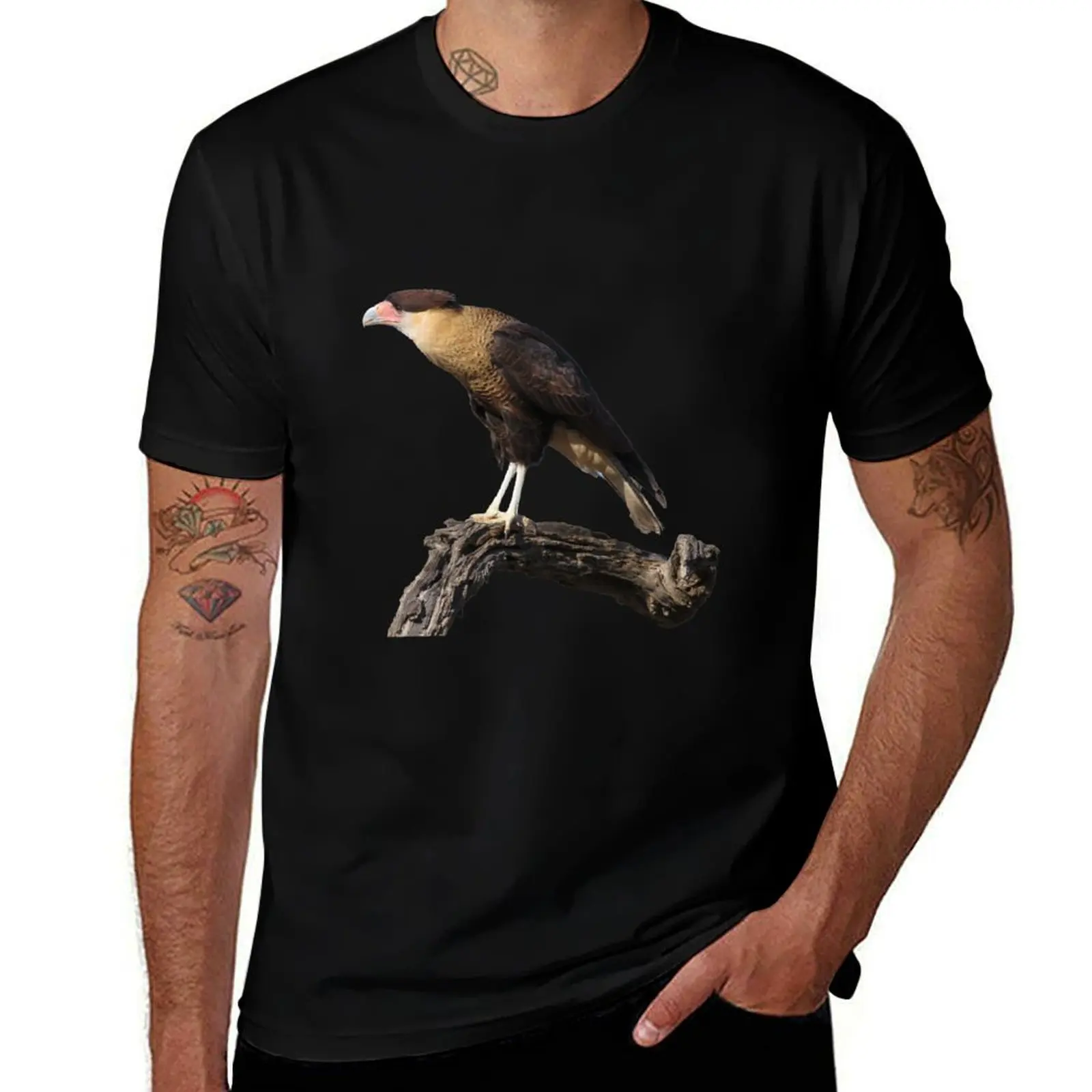 Crested Caracara on a Branch T-Shirt funny t shirts man T-Shirt