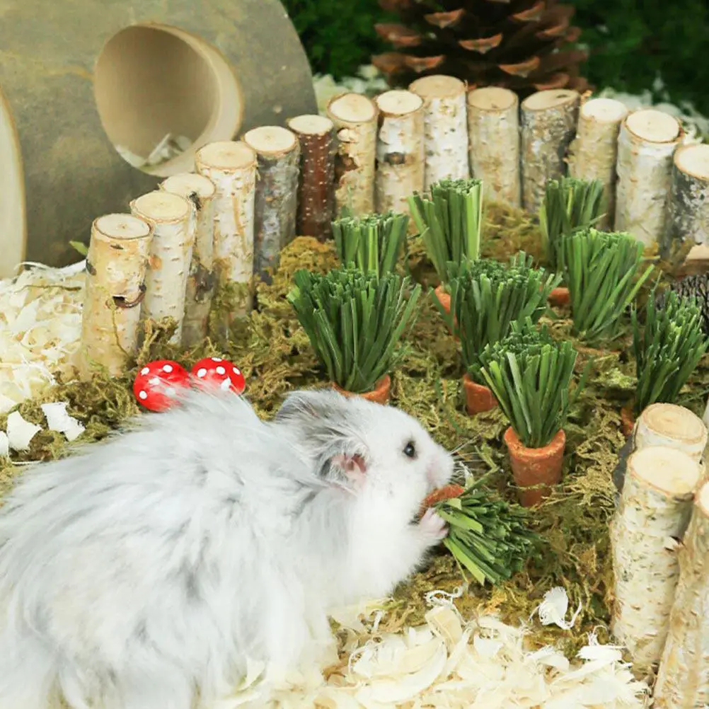 18Pcs Rabbit Hamster Chew Carrots Small Pet Teething Sticks for Grinding Molars Preventing Destructive Chewing Pet Chew