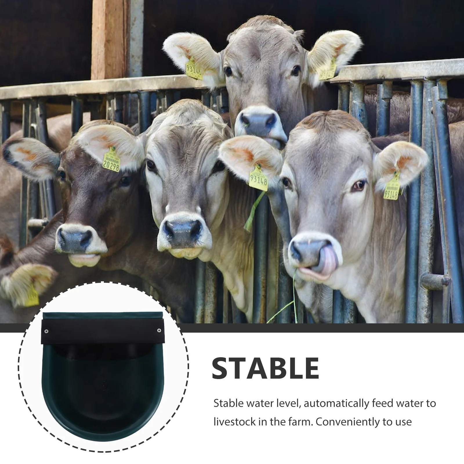 

Automatic Cow Drinking Water Bowl Waterer Cattle Waterers Farm Dispenser Professional Feeder