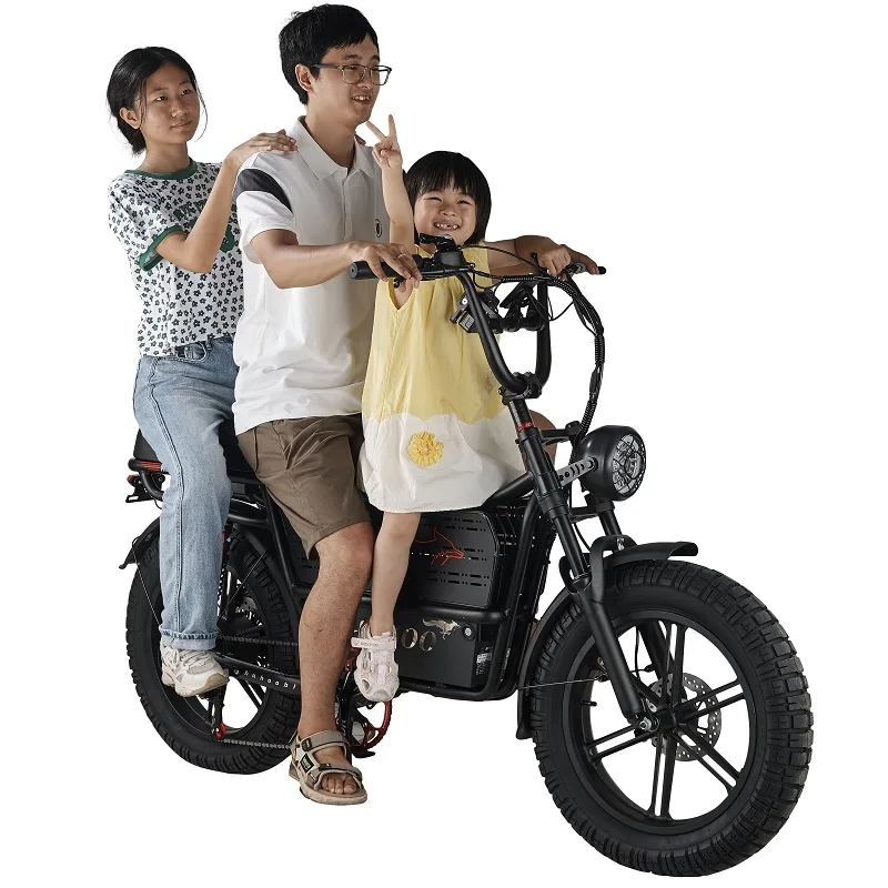 HAHOO H20 20 بوصة الكبار دراجة جبلية كهربائية 2000 واط محرك بدون فرشاة 48 فولت 60 أمبير ebike المزدوج تعليق على الطرق الوعرة الإطارات دراجة #5