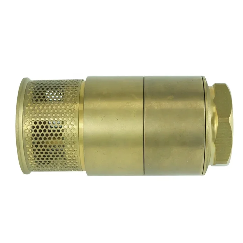 DKV 3/4'' Check Valve Brass NPT Thread Durable Non Return Brass Foot Valve DN25 Durable Water Pump Bottom Valve