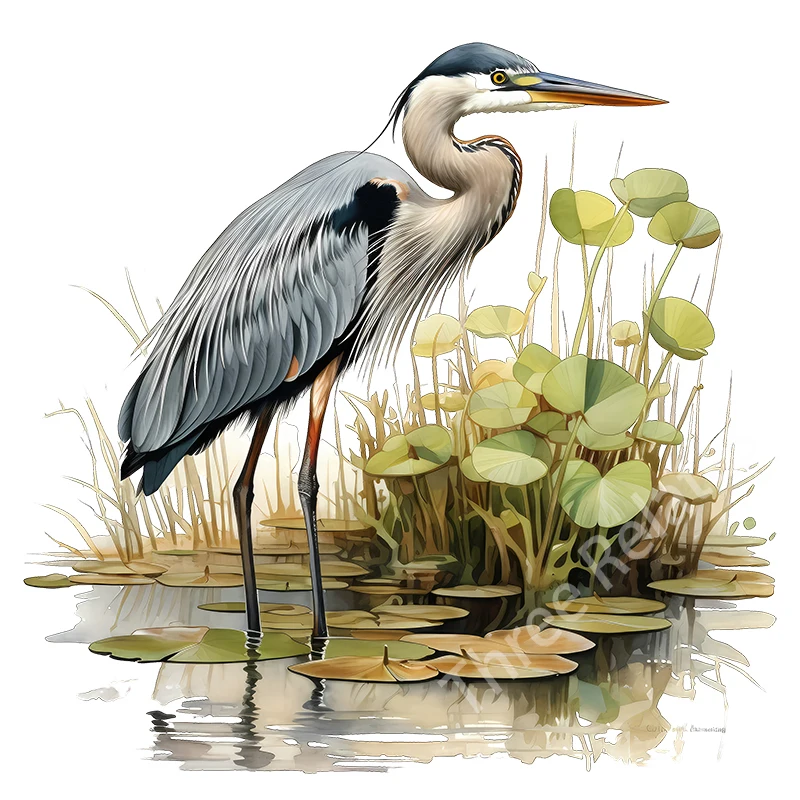 Three Ratels QN28 Ardea herodias Art Wall Sticker for Home Decoration