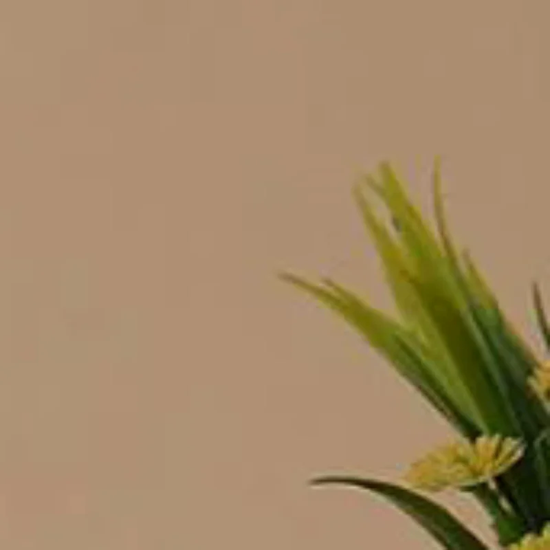 النسخة الكورية من الرسوم المتحركة للخريف والشتاء غطاء للأذنين دافئ من القطيفة، أغطية أذن قطيفة لطيفة تحمي الأذنين من البرد