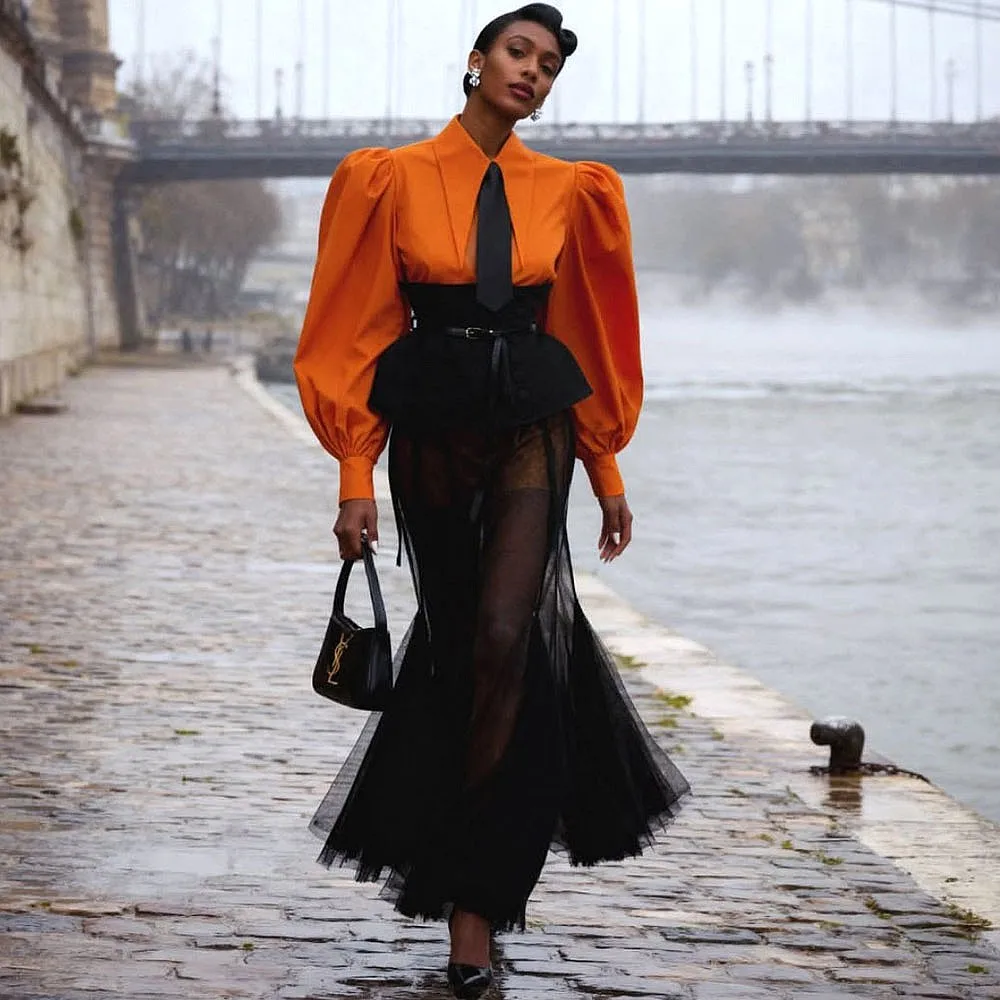 

Mermaid Illusion Women Skirt Without Top High Waist See Through Ruffles Bottom Office Lady Skirt Women Party Skirt To Match