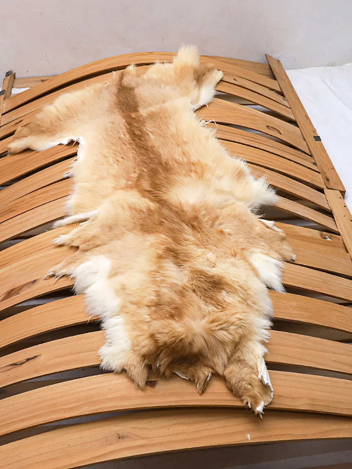 

Whole Dog Skin Integrated Wool Carpet Sofa Cushion Chair Pad Anti-Wolf Skin Film Prop Simple Style Dry Cleaning Customizable