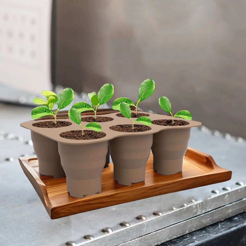 

Starter Tray 6-Holes Germination Container For Greenhouse Indoor Outdoor Planting Nutrition Planter Garden Tool