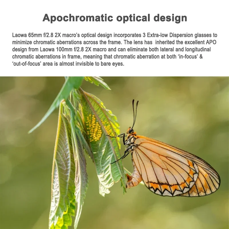 Venus Optics Laowa APO 65 مللي متر F2.8 2x Ultra Macro عدسة كاملة الإطار لسوني E FUJIFILM X Canon RF EF-M Nikon Z Leica L Mount Camera