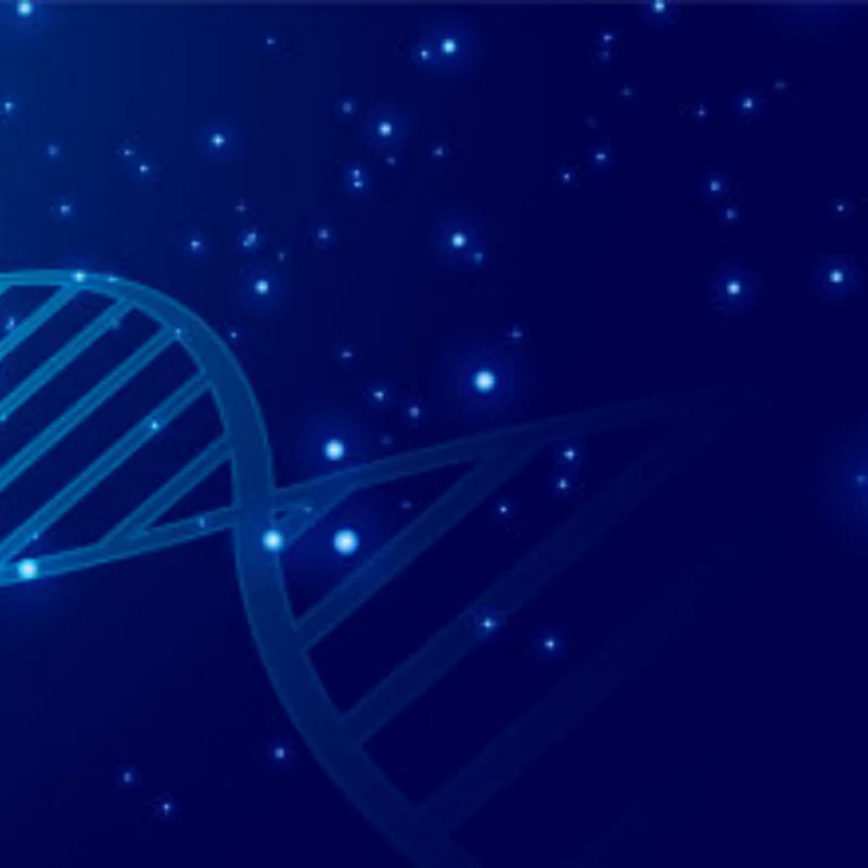 1.3 Beadlock Wheels and Tires for RC Crawler Car 1/18 TRX4M FCX18,1/24 SCX24 FCX24,RC Truck Wheels and Tires