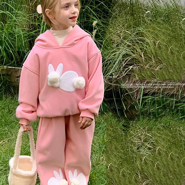 Children Girl Velvet 2PCS Clothes Set Autumn Winter Pink Cartoon Rabbit Kid Girl Hoodies Sweet Style Cotton 1-6Y Girls Pant Suit