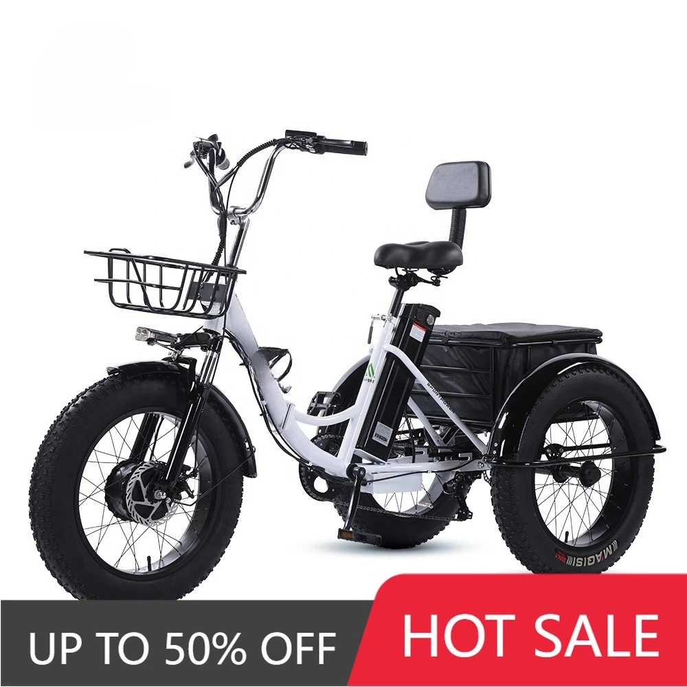 QQW 750W Removable Battery Electric Bike 3 Wheel Comfort Seat Folding Tricycle Cargo Bike
