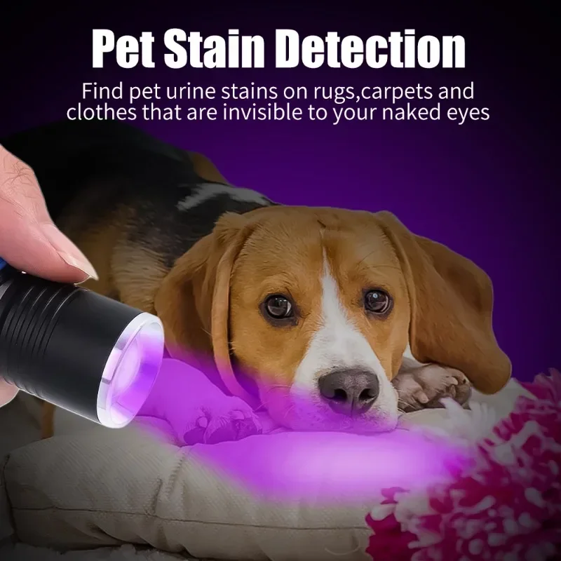 LED UV Flashlight 365/395nm Portable Mini Ultraviolet Torch Waterproof Zoomable Violet Light Pet Urine Scorpion Detector UV Lamp