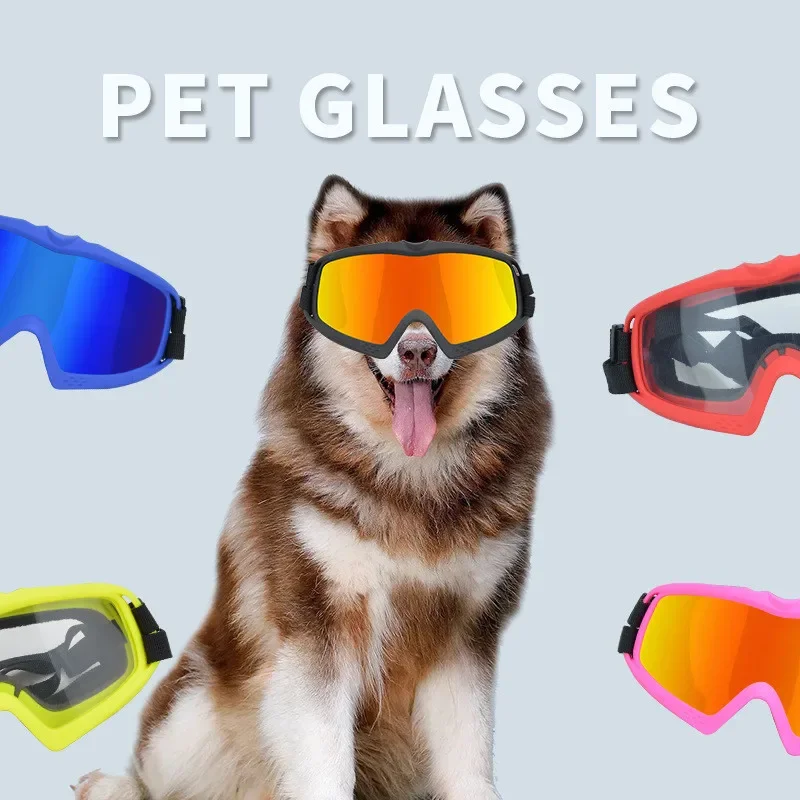 Lovely Pet Glasses for Little Dogs and Cats, Eye-Wear Sunglasses, Photos, Pet Accessories