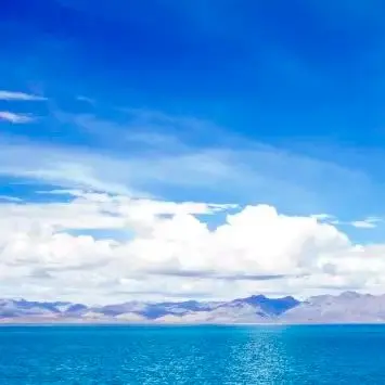 

Для Greenworks 80 В литий-ионная аккумуляторная батарея 6,0 Ач для GBA80200 GBA80250 GBA80400 GBA80250 GBA80500