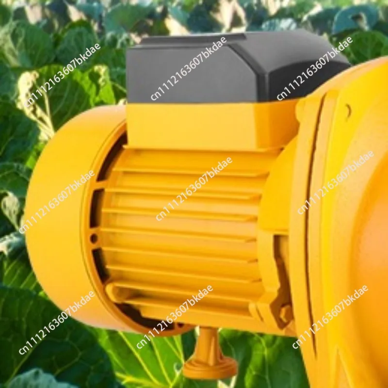 2 Inch Centrifugal Self Priming Pump 110V 220V 380V High Lift Large Flow Household Agricultural Water Irrigation Pump