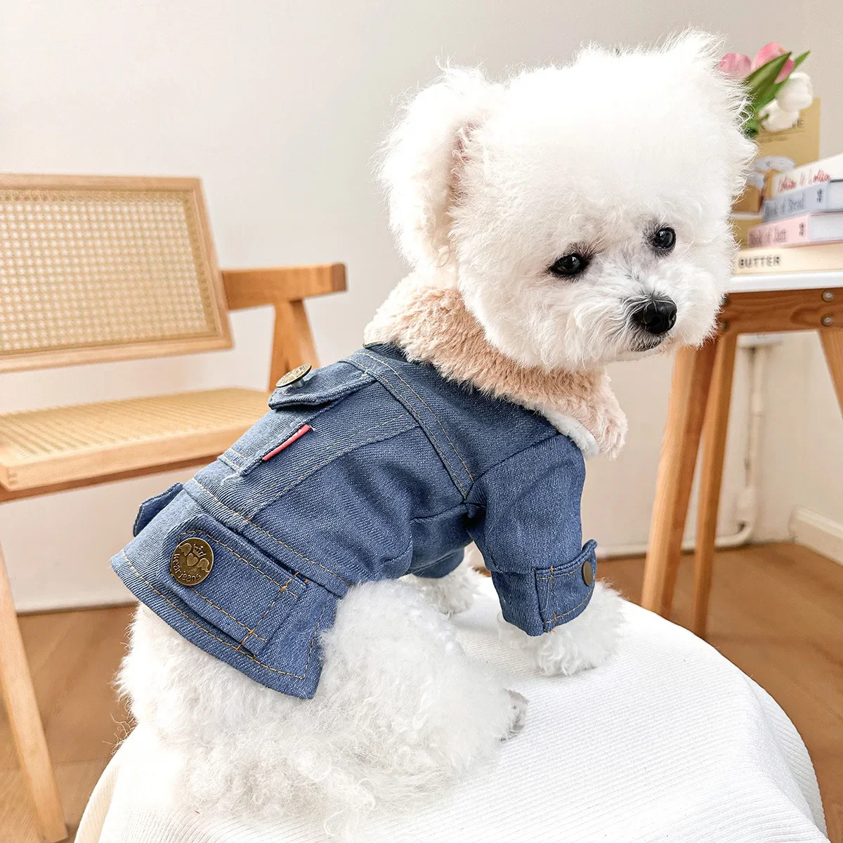 Winter New Cashmere and Thick Denim Cotton-padded Pet Clothing Can Pull Fashion Fur Collar Dog Clothes