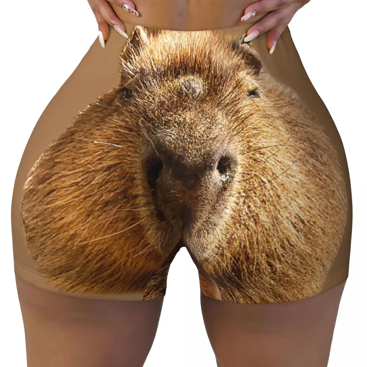 Custom Capybara Dozing In The Sunshine Printing Workout Shorts for Women Gym Running Biker Yoga Shorts