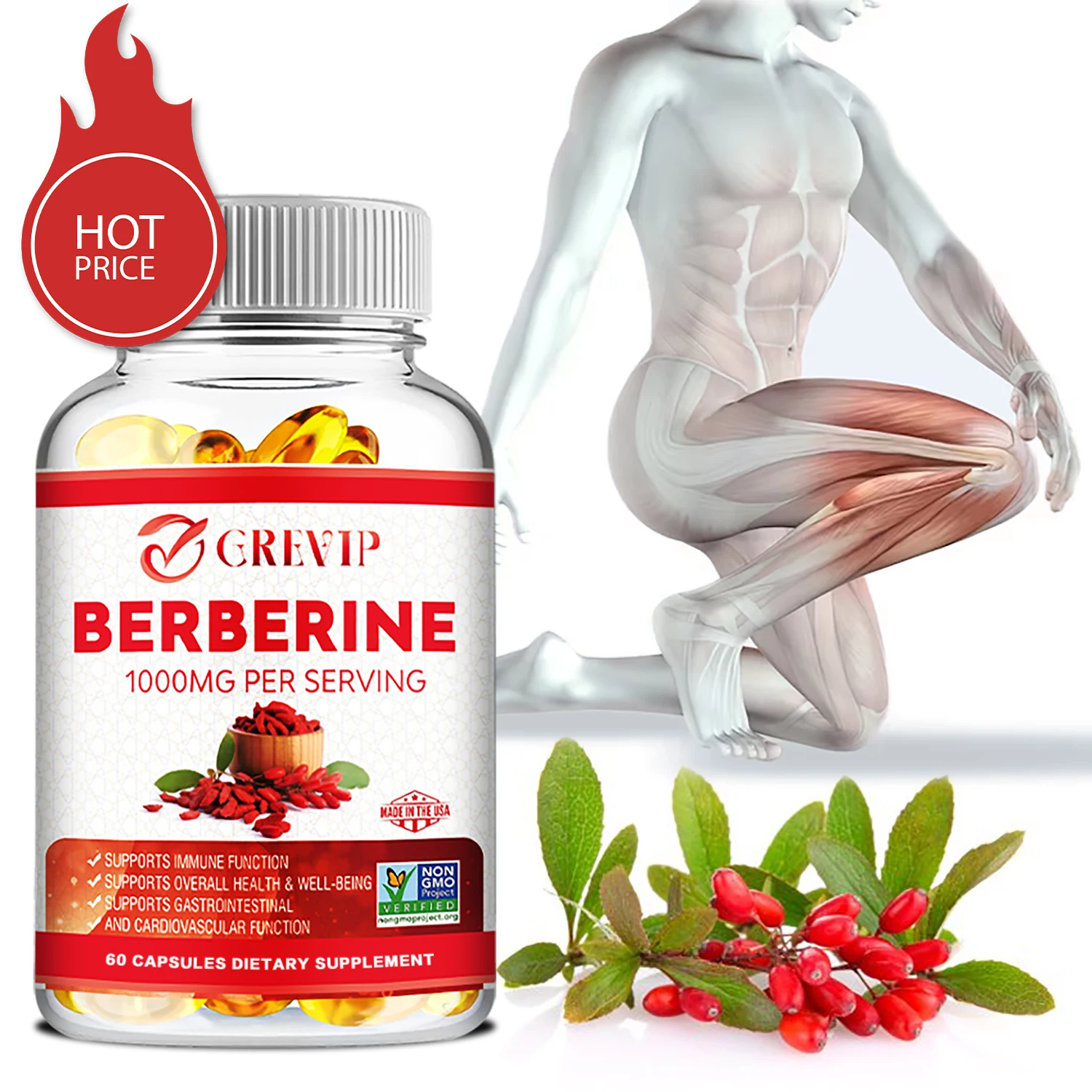 

Berberine - Antioxidant ,Promotes Cardiovascular and Digestive Health, Immune Support - 60 Capsules