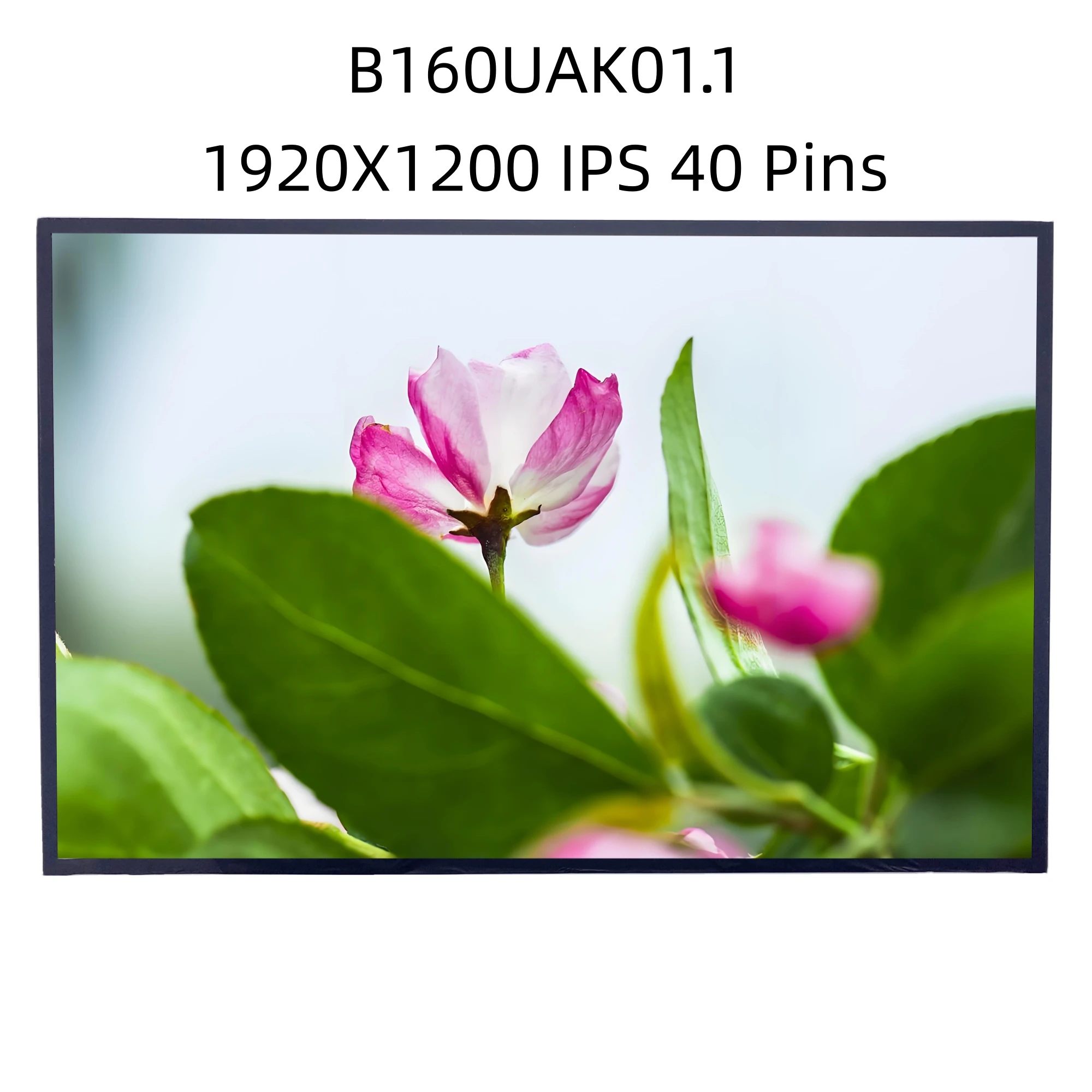 

B160UAK01.1 Laptop LCD screen 16.0 Inch 1920X1200 Replacement Display Panel Matrix