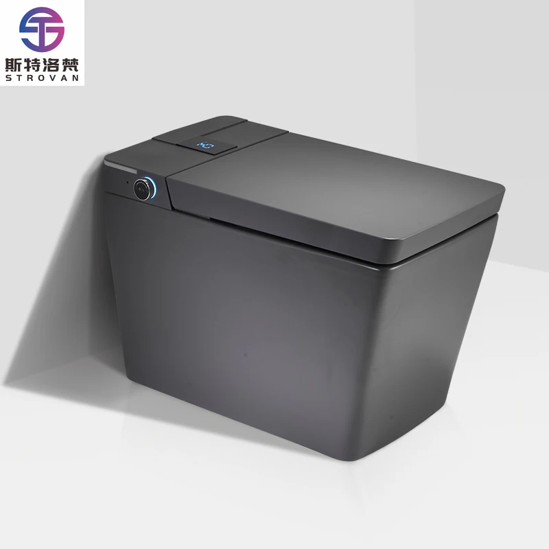 

HKZX Gray Luxury One Piece Ceramic Electrical Automatic Flush square Smart Toilet