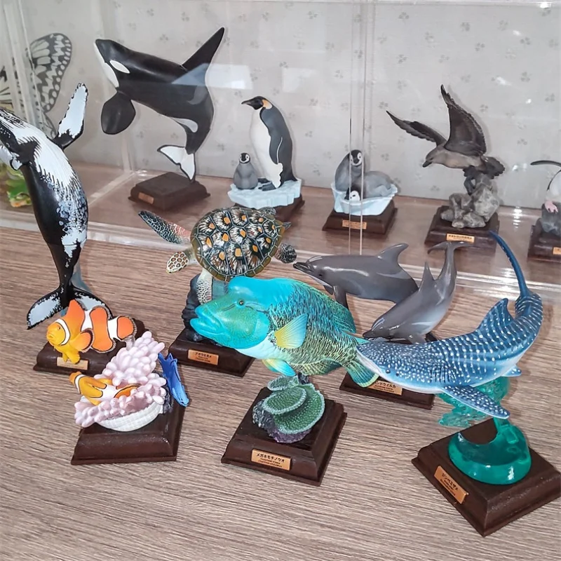 Original Ikimon Marine Life Special Edition Gashapon Shark Surgeonfish Dolphin Sea Turtle 3d Figurine Toy Fun Collectible Gift