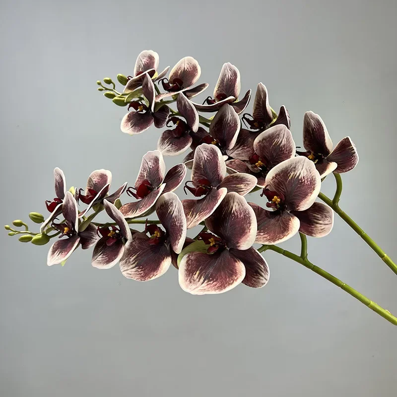 زهور محاكاة بطباعة ثلاثية الأبعاد ، قطن سيليكون ، أوركيد فراشة بيضاء ، نبات أخضر صناعي ، زهرة اصطناعية ، ديكور مطعم