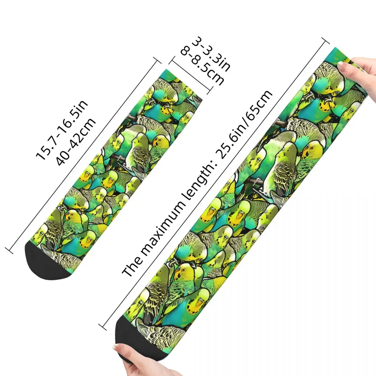 Funny Happy Sock for Men Budgie Pattern Hip Hop Parrot Pet Bird Quality Pattern Printed Crew Sock Novelty Gift