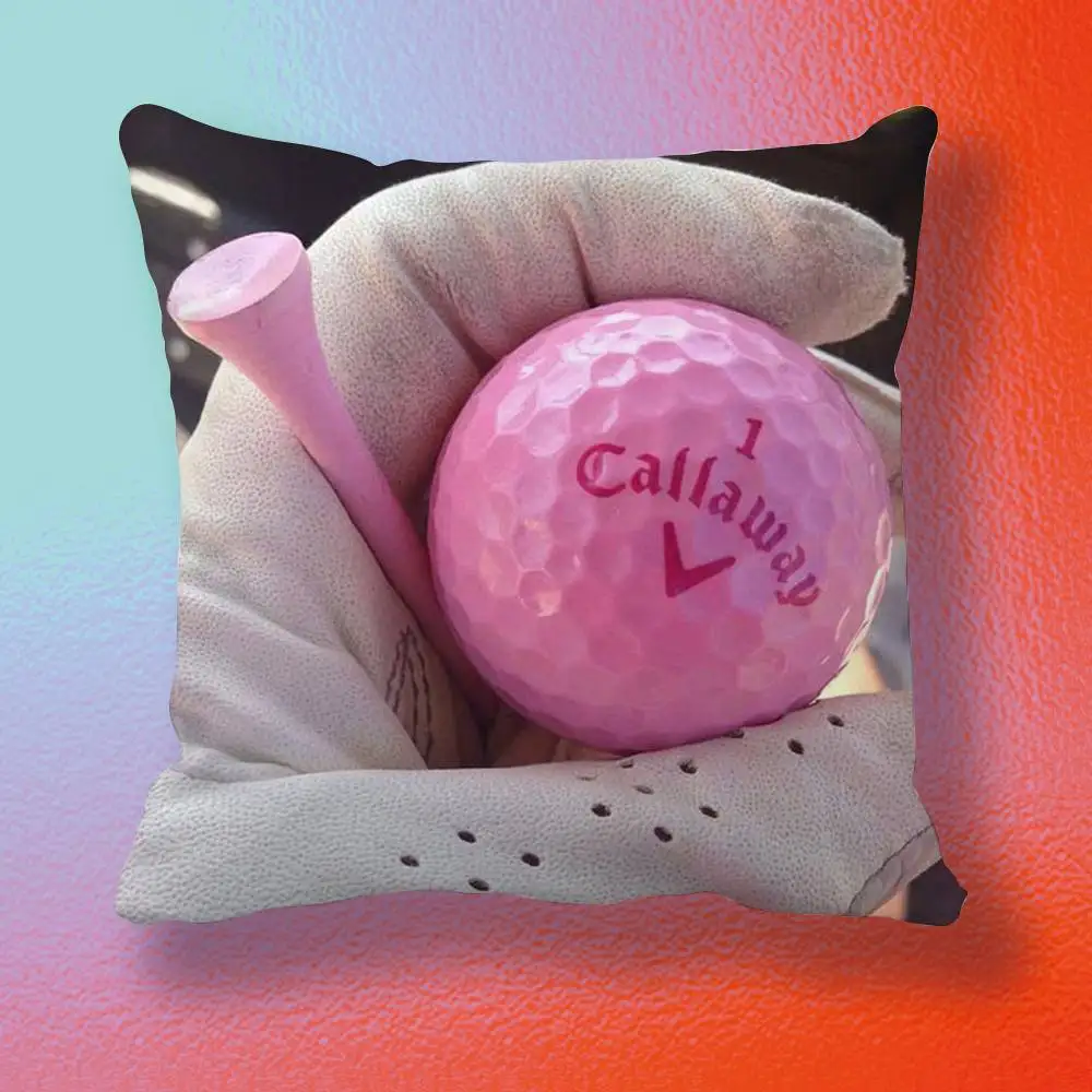 Figure Icon  Pillow cover gift High definition digital printing,Surprise vivid pattern Household.