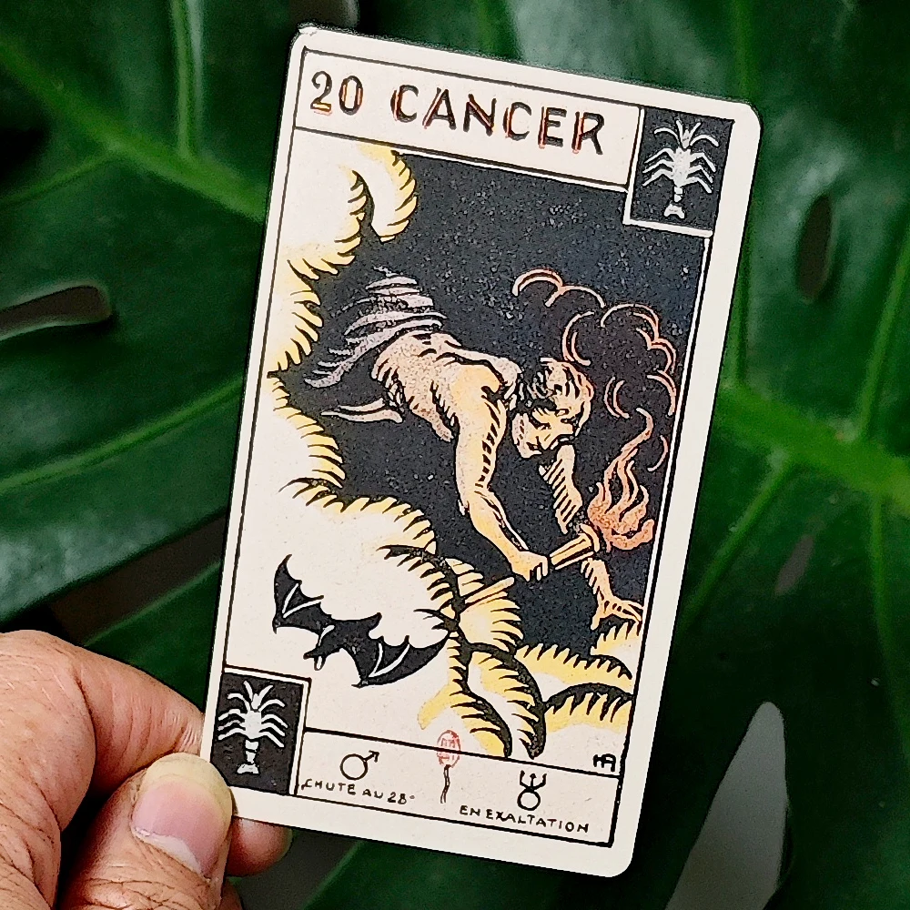Baralho de cartas de tarô do zodíaco astrológico, cartas de tarô "le tarô astológico", 48 peças de cartas oracle 10.3*6cm
