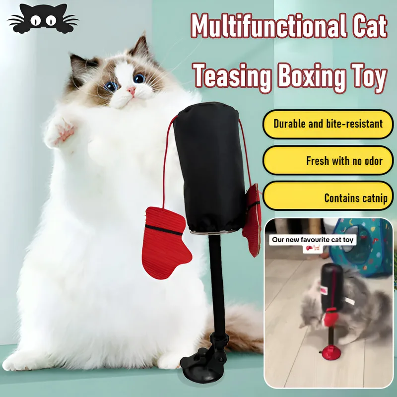 Unique Teaser Cat Supplies activity Exercise Safe play Interactive Teaser Toys Boxing Game Functionality diversity Pet training