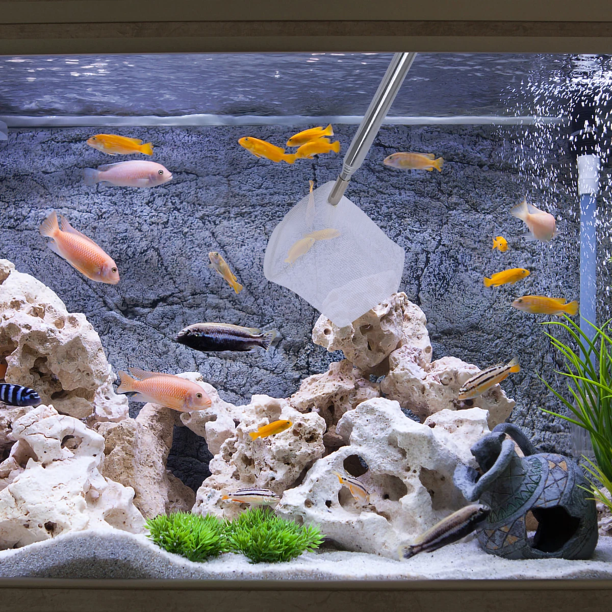 

3D Telescopic Net Fish Tank Stainless Steel Handle Unbreakable Fishing Net For Fish Shrimp Heavy