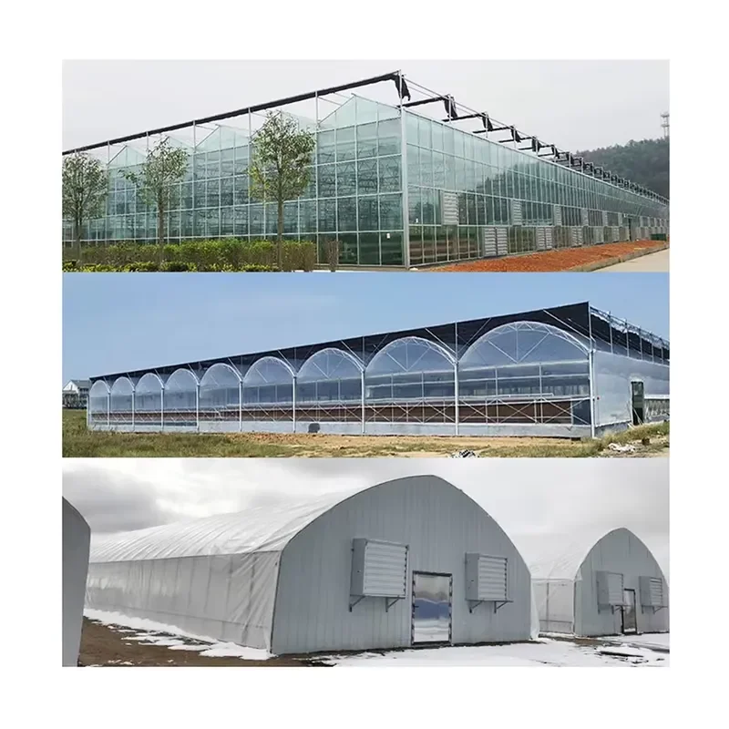 Multi-span Commercial Agricultural Greenhouse for Horticultural Use Glass Flower Greenhouse Supplier