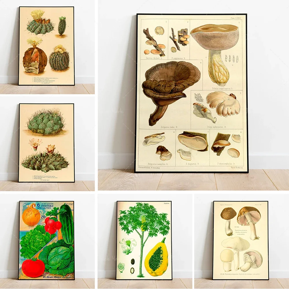 Creeping Avens Impresión de pared |   Arte de pared botánico |   Lienzo artístico |   Póster vintage |   Arte floral |   Arte de pared de cocina |   Póster de pared