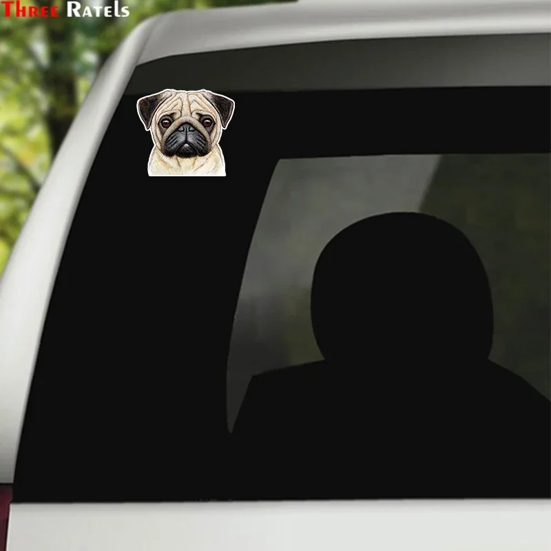 Pug Colorful Car Sticker Funny Stickers Styling Removable Decal13cm*11.5cm