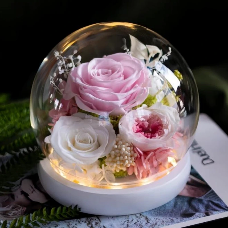 Round Shape Glass Dome Home Decor Big Size Diameter=23cm 25cm 30cm Luminous White Base Transparent Glass Cover Wedding Present