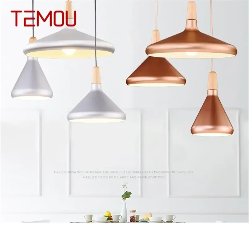 

TEMOU Nordic Pendant Lights Modern Simple LED Lamp Fixtures For Home Decorative Dining Room