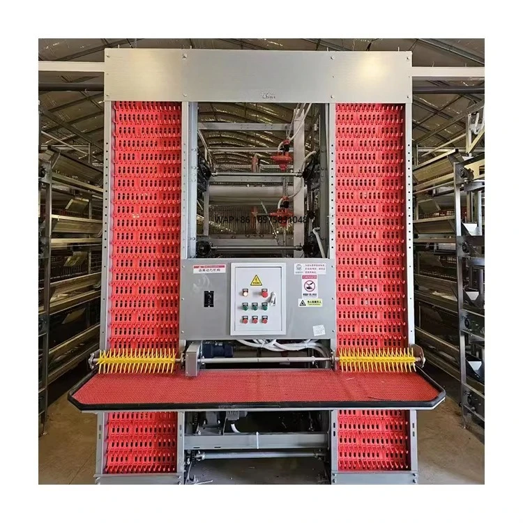 Customized high-quality poultry breeding equipment H-type broiler cage and breeding system
