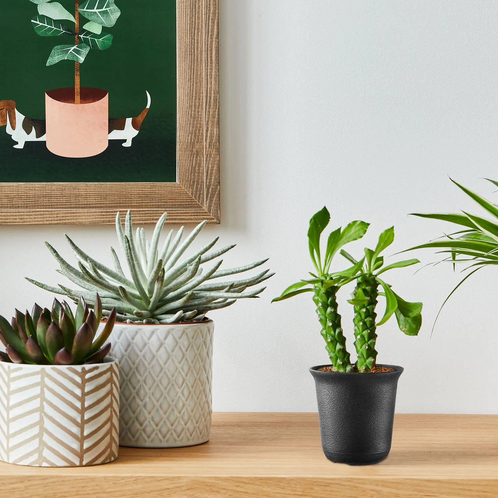 

12Pcs Mini Plastic Plant Pots Simple Design for Desktop Home Garden Office Decoration No Water Accumulation Plastic Flower Pots