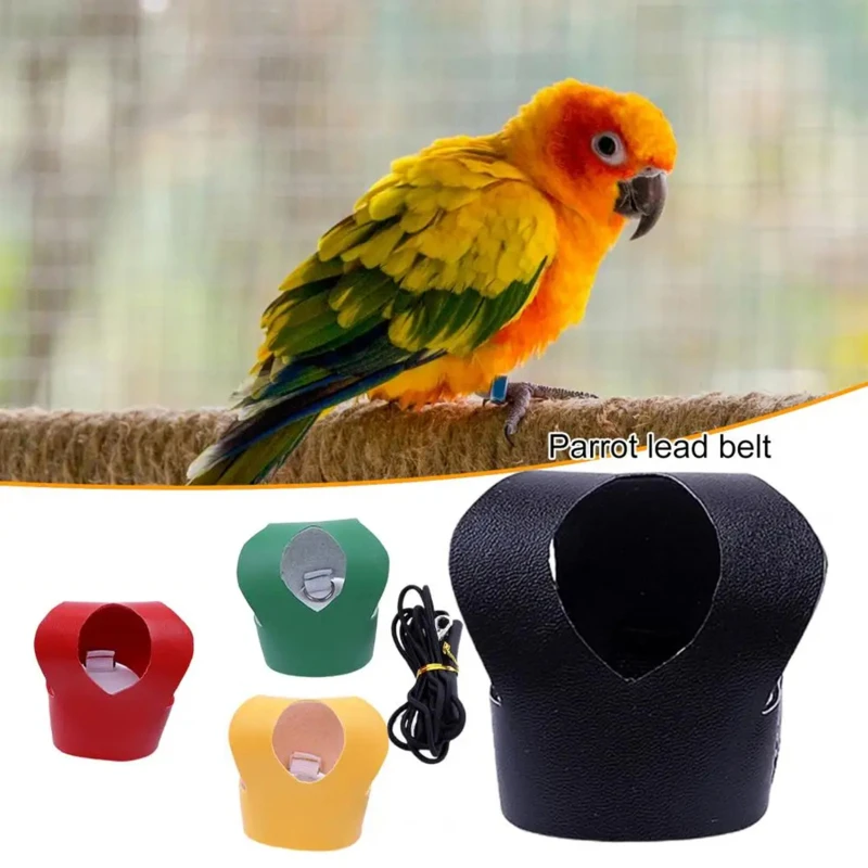 Bird Harness Parrot Leash Bird Vest Bird Training Traction Rope Chest Harness Fastener Tape Parrot Costume Outdoor Vest