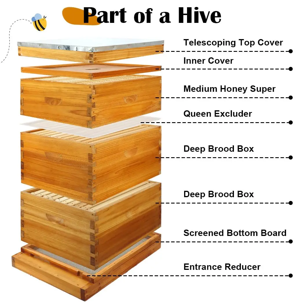 Free Shipping10 Fe Hive Kit With Sned Bottom Board Dipped In Heavy Swax Hive Boxes Starter Kit Includes Hivs And Waxed Foundatio