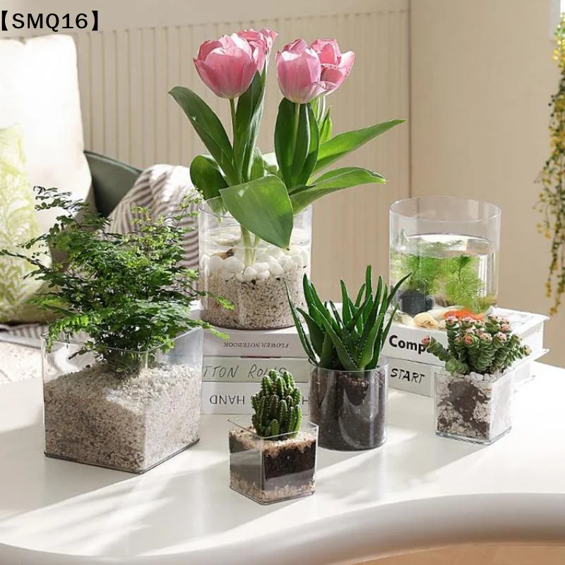 Bonsai Garden Nursery - Vasi per piante in acrilico trasparente
