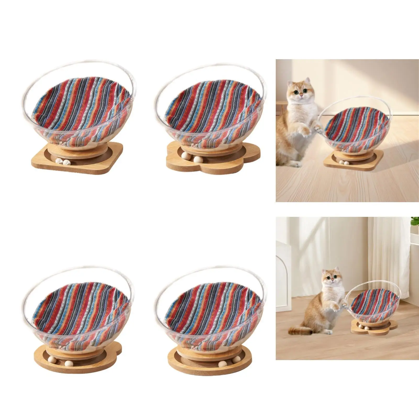 Lettino per gatti Stabile Robusto Facile da pulire Mobili per gatti trasparenti per quattro stagioni Accessori per animali Nido per gattini per gatti Gattino Gattino