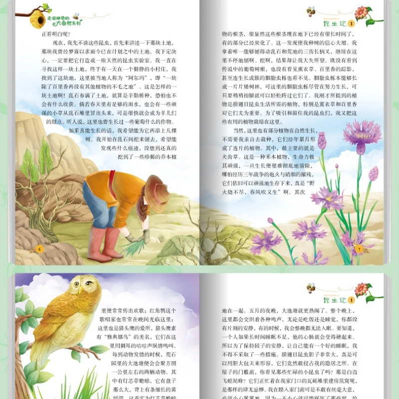 Children's Extracurricular Science Popularization Encyclopedia, Walking Into The Magical Nature Series Insect Chronicles