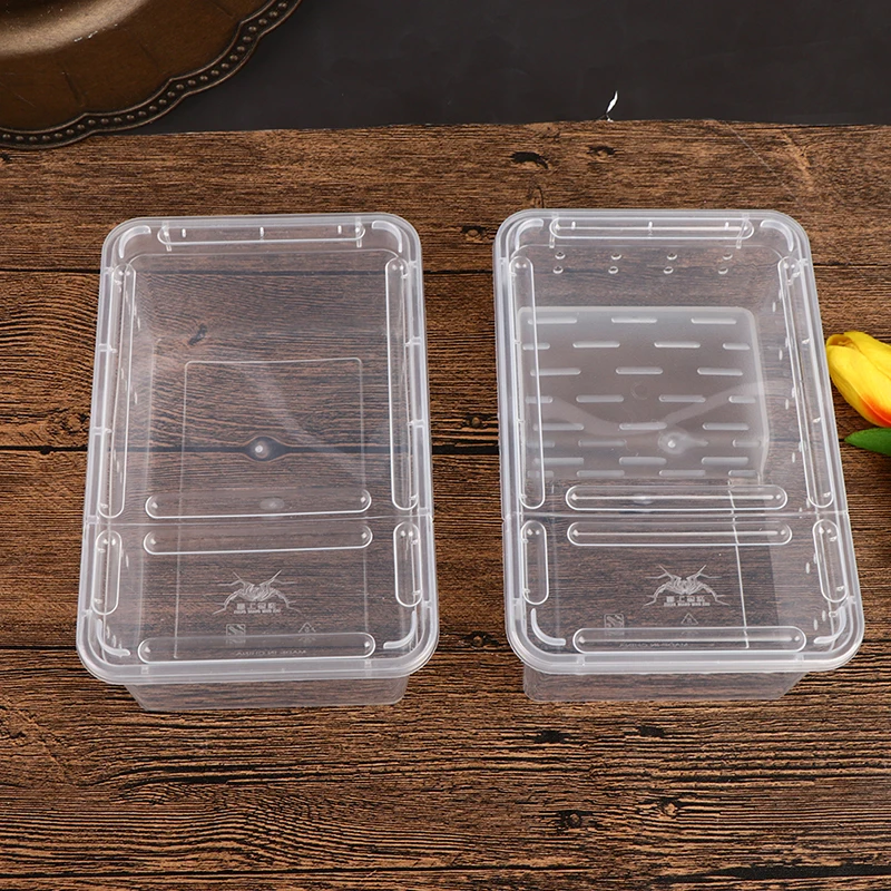 1PCS Vivarium Lid Reptile Pet Product Reptile Tank Insect Spiders Tortoise Lizard Acrylic Transparent Breeding Box