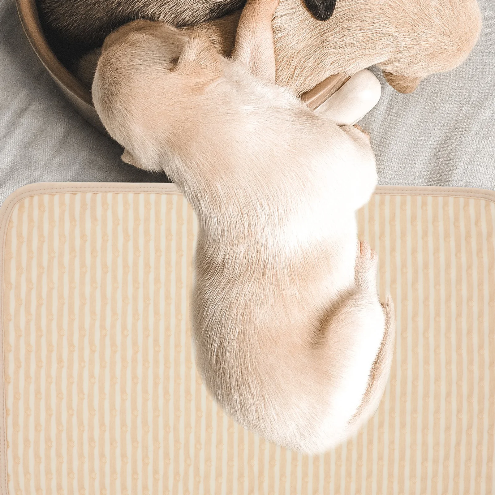 

2Pcs Pet Toilet Pad Washable Waterproof Dog Urine Mat Absorbent Non-Slip for Home Travel Cage Car Use Puppy Training Essential