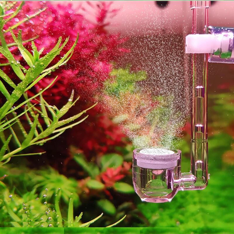 Mini Aquarium CO2 System Bubble Diffuser U Shaped Atomizer Arcylic Tube with Suction Bend Transparent Diffuser Fish Dropshipping