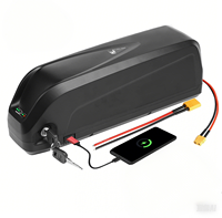 Hailong 48V20Ah mountain bike lithium battery with 54.6V 2A charger 30A BMS, suitable for 200W-2000W electric vehicle motors