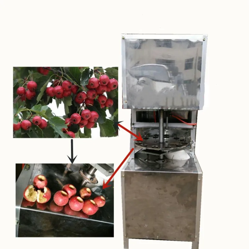 Most Popular Professional Plum Cherry Pitting Core Remove Machine Dates Seed Removing Processing Machinery