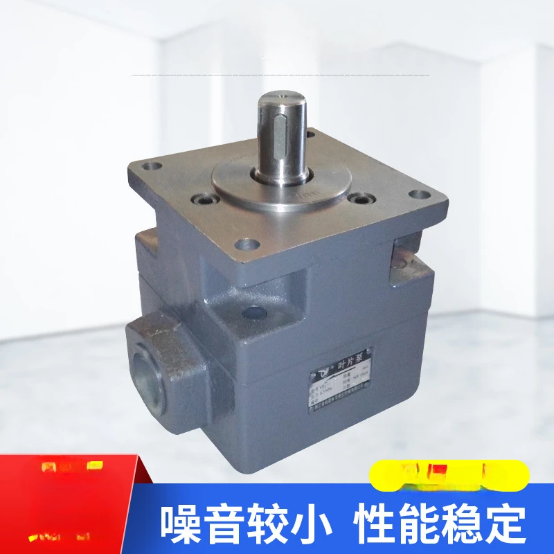 7163 Guibei surface grinder Yongling YLC large water mill hydraulic pump, vane pump YB1-100