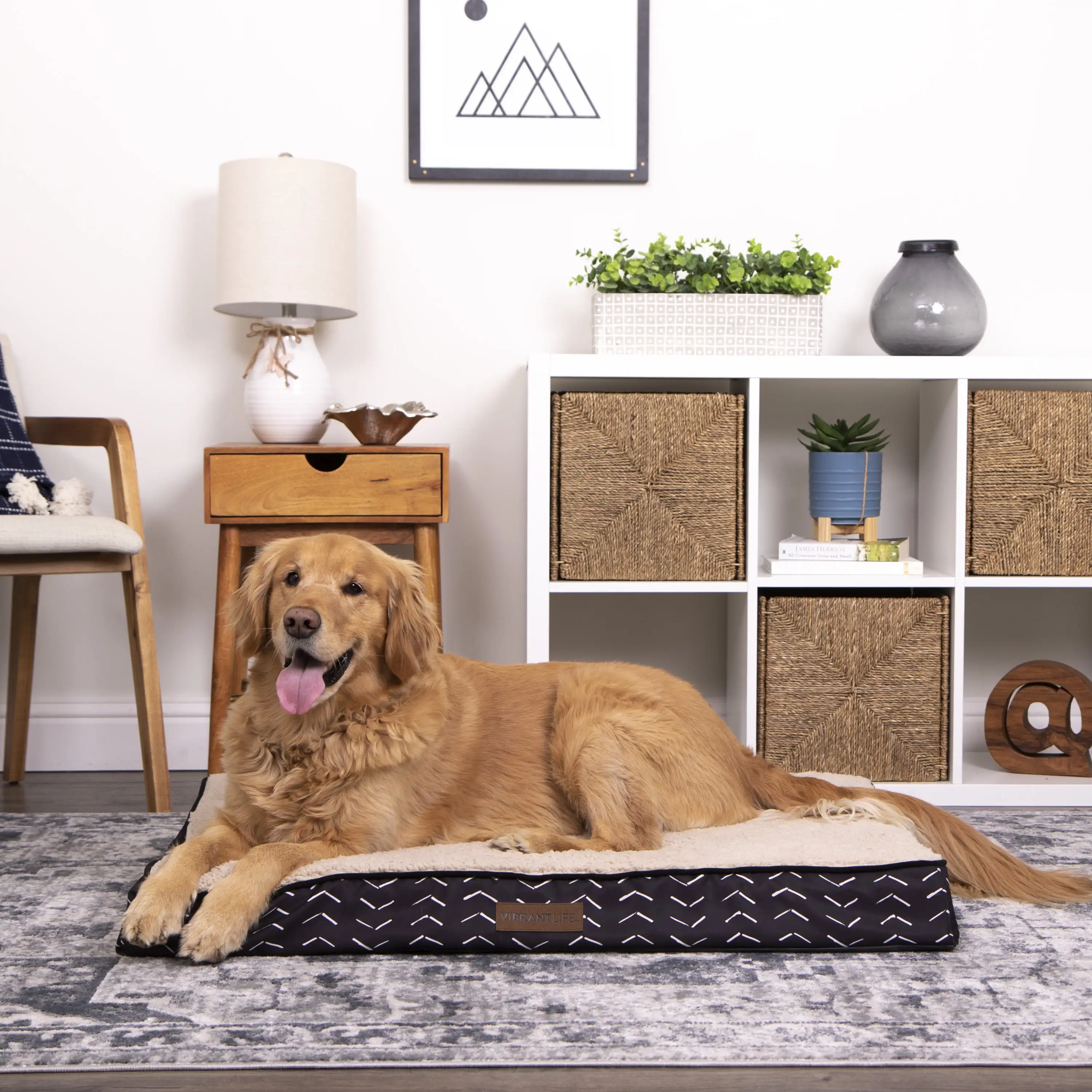 

Orthopedic Bed Mattress Edition Dog Bed, Large, 40X30, up to 70 Lbs